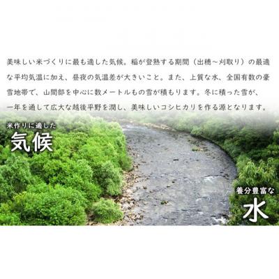 ふるさと納税 新潟市 新潟産コシヒカリ10kg [54071045] |  | 03