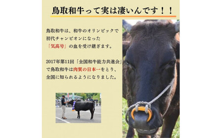 鳥取和牛 カルビ焼肉 切り落とし  1kg （500g×2） やまのおかげ屋 バラ 国産 肉 牛肉 焼肉 カルビ 和牛 ブランド牛 黒毛和牛 KR1301