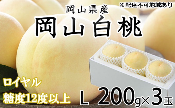 桃 2025年 先行予約 岡山 白桃 ロイヤル 3玉×約200g（Lサイズ）JAおかやまのもも（早生種・中生種） もも モモ 岡山県産 国産 フルーツ 果物 ギフト