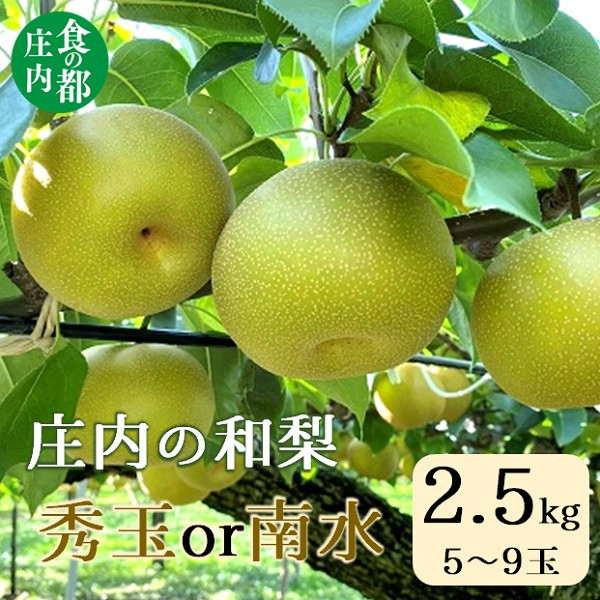 
            食の都庄内　庄内の和梨【秀玉or南水】約2.5kg※9月中旬ごろより順次配送
          