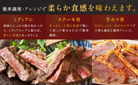 肉 牛肉 鹿児島県産 黒毛和牛 ヒレステーキ 2種盛り ステーキ サイコロ 240g A5等級 LRプラスK 《90日以内に出荷予定(土日祝除く)》 A5 鹿児島県 さつま町