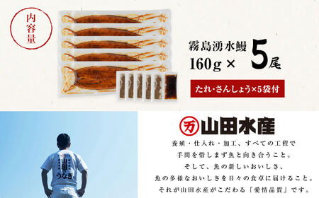 【数量限定】【お礼の品人気No1】霧島湧水鰻の蒲焼き 160g以上×5尾＜計800g以上＞ c0-103
