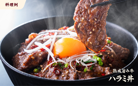 【ハラミ】 熟成旨み牛やわらかハラミカット 3kg  愛媛県松山市【NGB003】