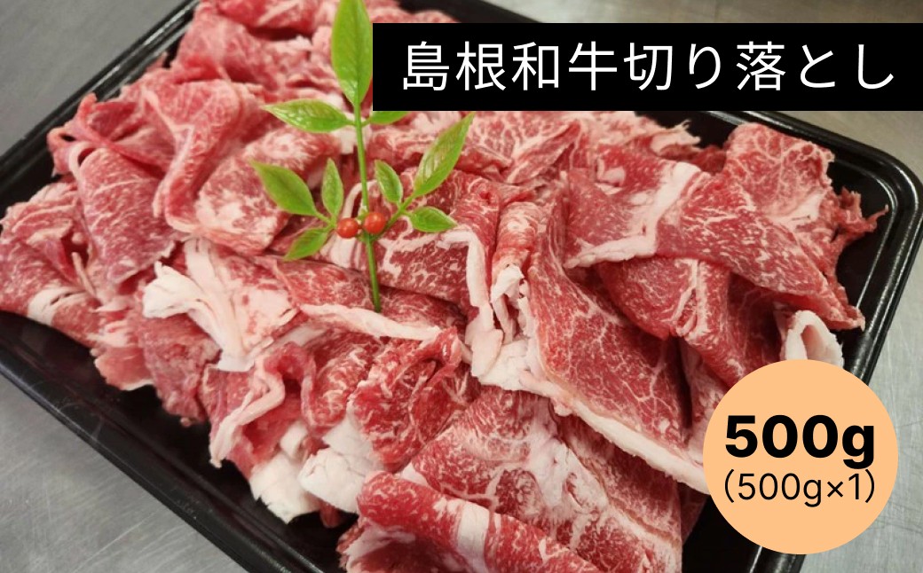 
                  島根和牛切り落とし500g 島根和牛 国産 肉 切り落とし 切り落とし肉 和牛 牛肉 【185_2049】
                