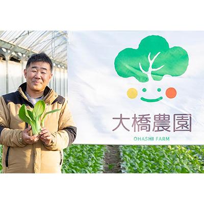 ふるさと納税 安城市 大橋農園のベビーチンゲン菜:3株入り×6袋 |  | 03