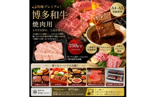この味プレミアム!＜A4～A5＞博多和牛焼肉用 750g(250g×3p)【1767634】