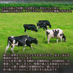 【田村精肉店】北海道産ブランド牛の赤身600g(スライス400g・切り落とし200g)【配送不可地域：離島】 AI021 | 赤身 牛肉