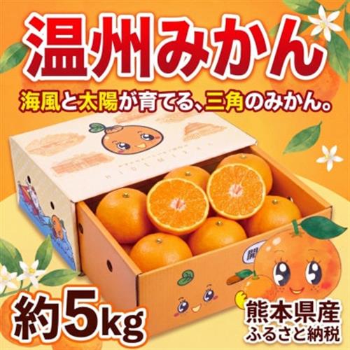 【数量限定】ひでみかん宇城市産 青島 温州みかん 約5kg【1468626】