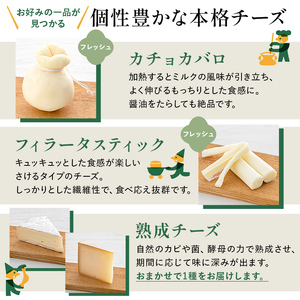 【チーズ工房那須の森】那須の森3種チーズおまかせセット（カチョカバロ＋フィラータスティック＋おまかせチーズ1種）【 栃木県 那須塩原市 】 ns003-001