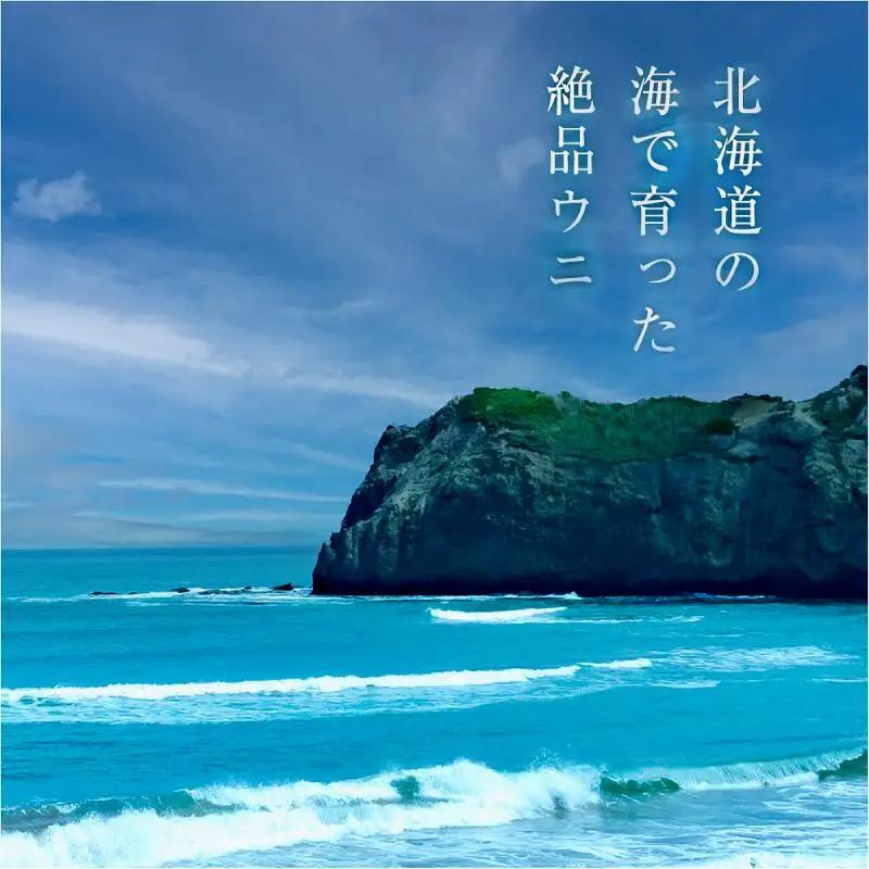 【ふるなびWEEK対象】≪贈り物≫幸雲丹80g(ムラサキ 北海道産)ウニ うに 雲丹【余市のうに】ギフト プレゼント 北海道 ムラサキウニ 白うに 白雲丹 冷凍ウニ 冷凍うに 世壱屋_Y038-013