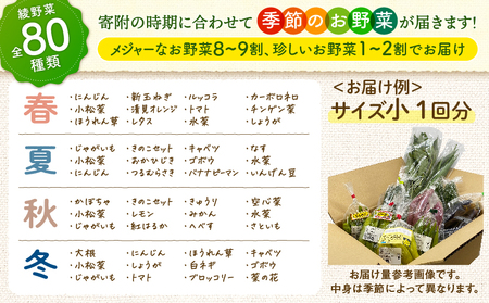 日時指定可能！旬のお野菜セット（サイズ小）【全２回定期便】