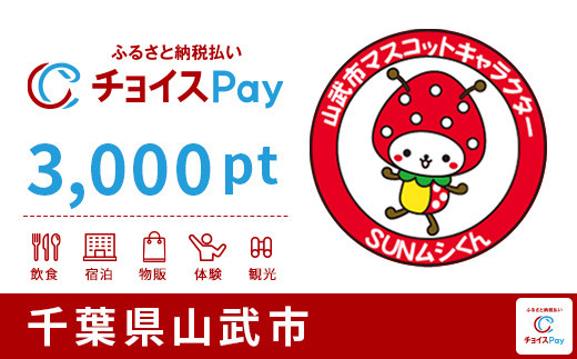 
山武市チョイスPay 3,000pt（1pt＝1円）【会員限定のお礼の品】
