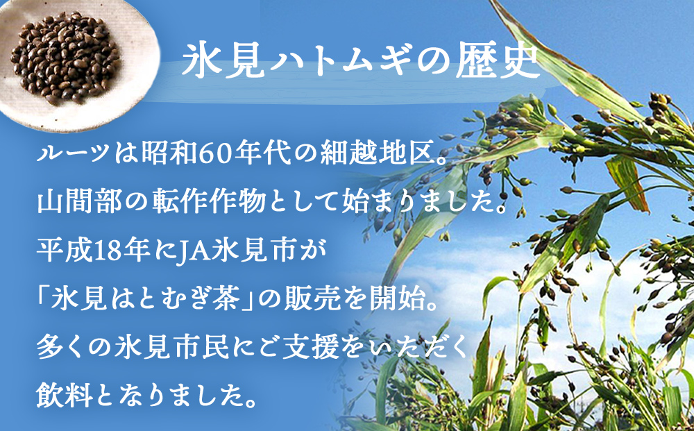 【3ヶ月定期便】 【氷見産ハトムギ使用】 氷見はとむぎ茶 ペットボトル 500m l× 24本 富山県氷見市 はとむぎ 茶 国産