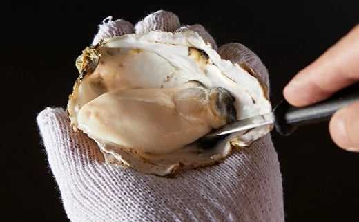 I-55生食用浦村牡蠣１５個入りセット