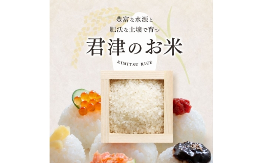 新米 令和8年産 ふさこがね 精米 2kg | あかかげ農園 メディアで紹介 !  精米 1回 山名郷米 やまなごうまい フサコガネ 千葉稲作 千葉県産 米 コメ こめ お米 千葉県 君津市 きみつ
