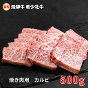 【ふるさと納税】飛騨牛 メス牛 最高A5等級 カルビ 焼肉用 500g 国産 黒毛和牛 牝牛 ギフト ひだうし ひだぎゅう