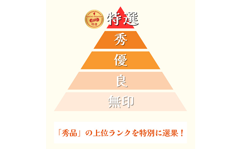 早生三ケ日みかん 秀S 4kg (約44個) みかん ミカン フルーツ 果物 くだもの 機能性表示食品 浜松市