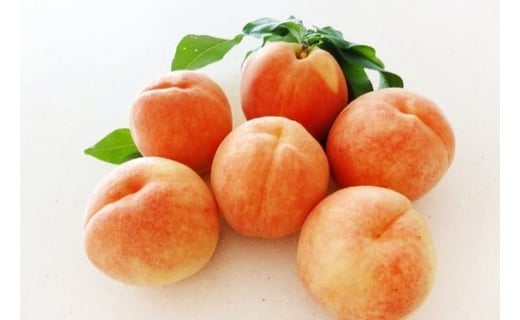 08-05-005　もも(黄金桃)2.5kg