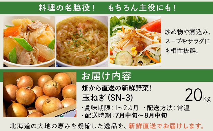 【先行予約】畑から直送の新鮮野菜！玉ねぎ（SN-3）20kg