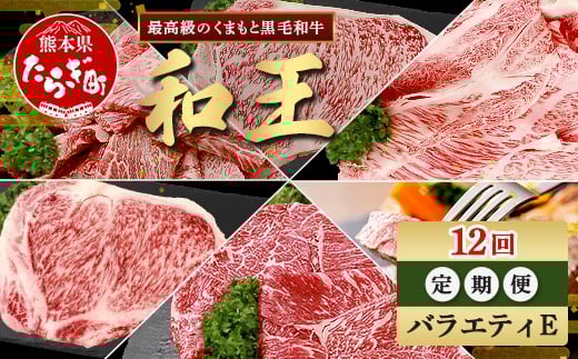 
            【定期便12回】くまもと 黒毛和牛 (和王) バラエティ 定期便E ブランド牛 定期便 肉 サーロイン ロース ステーキ モモ すき焼き しゃぶしゃぶ スキヤキ 焼肉 焼き肉 やきにく 牛肉 お肉 1年 12か月 定期便 プレミアム品質 122-0609
          
