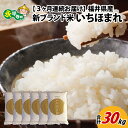 【ふるさと納税】【3ヶ月連続お届け】令和6年度産 福井県産新ブランド米 いちほまれ 10kg（5kg×2袋）×3ヶ月（計30kg） / 白米 精米 ご飯 ごはん 定期便