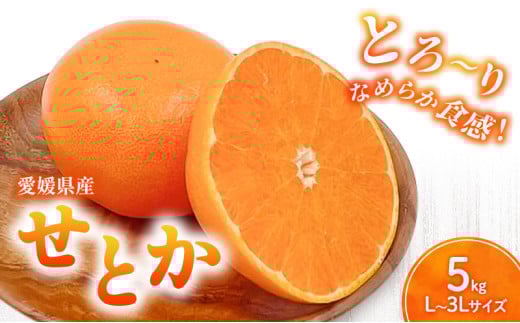 せとか L～3Lサイズ　5kg　家庭用 ＜みかん 柑橘 フルーツ 果物 愛媛県 国産 甘い 人気 先行予約 数量限定 旬にお届け 瀬戸香＞ [№5310-0262]
