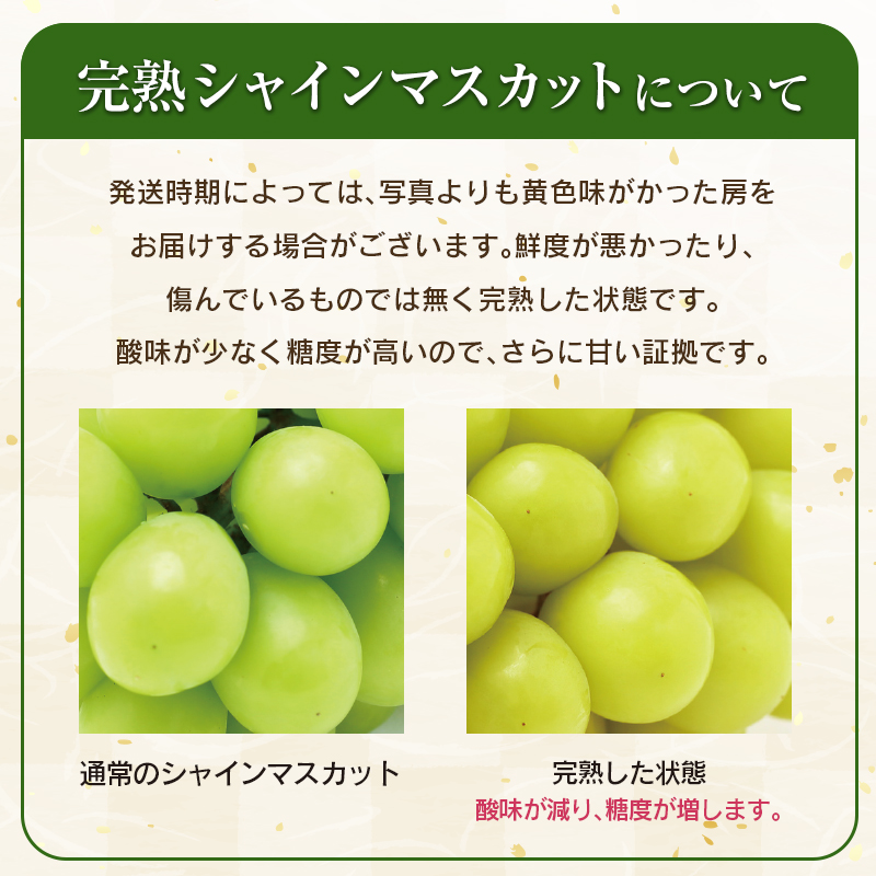 ＜2026年出荷＞先行予約 シャインマスカット 2～3房 計1kg以上 国産 期間限定 くだもの 【A256-26】_イメージ4