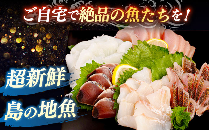 【勝本漁港直送】壱岐島の刺身盛りセット ≪壱岐市≫【あかりや】 冷凍配送 刺身 小分け 産地直送 1万円 10000円 お刺身 刺し身 寿司 海鮮 [JFO003]