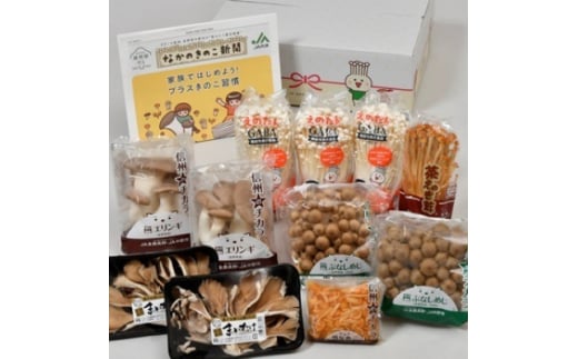 JA中野市産地直送!6種11パック入りきのこセット＜中野市特産きのこセットできのこ食を習慣に＞【1487473】