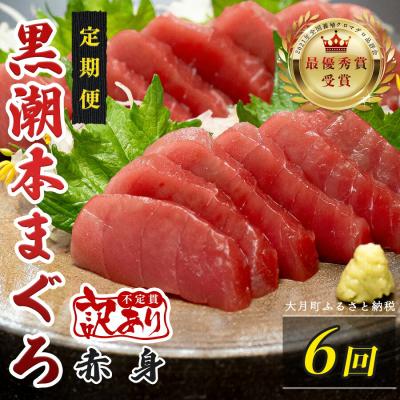 ふるさと納税 大月町 訳あり 不定貫 国産 黒潮本まぐろ 赤身 定期便 120g×6回 |  | 01