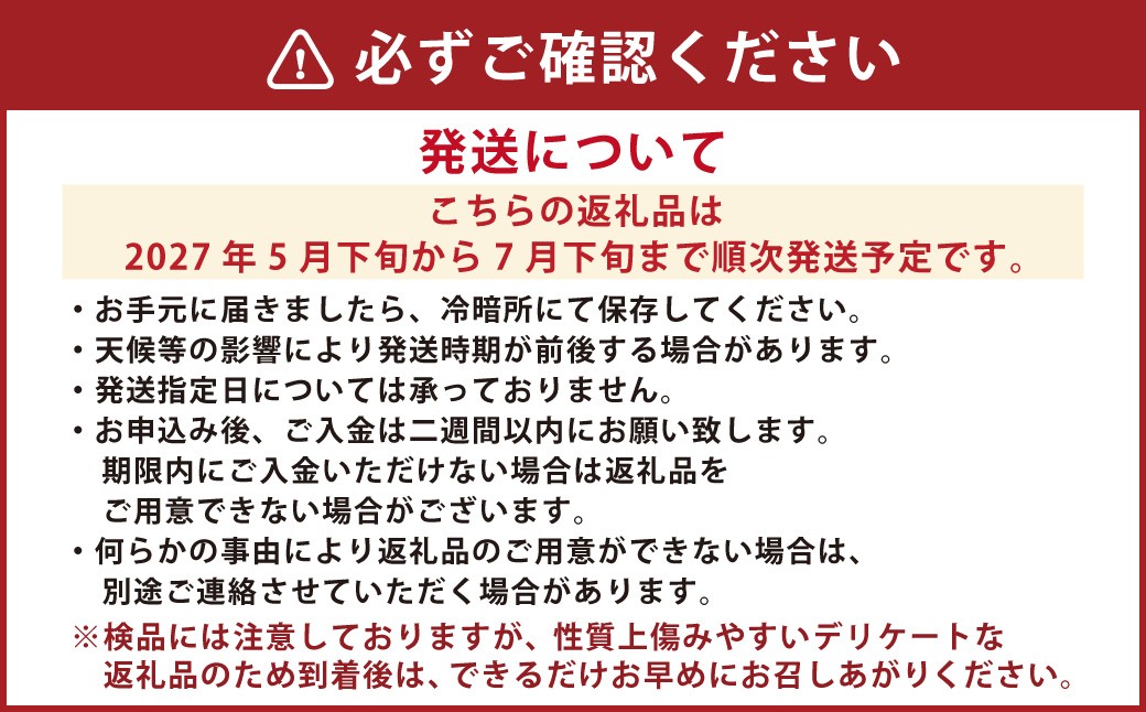 肥後グリーンメロン 2玉 （約3～4kg）