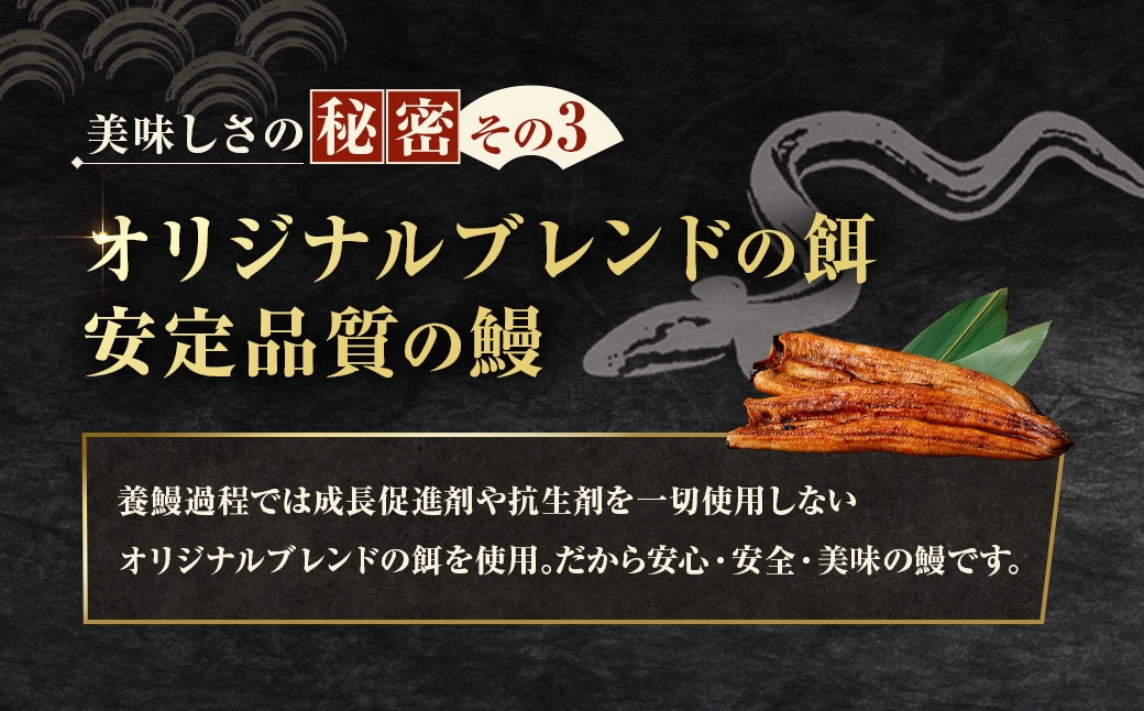 めぐみうなぎ蒲焼き6尾