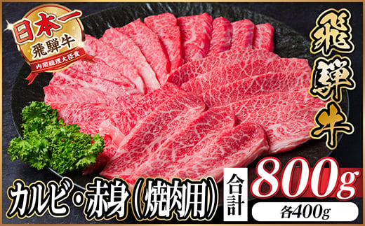 
                  飛騨牛 厳選カルビ・赤身(焼肉・BBQ用) 800g(各400g)　黒毛和牛　小分け　A4～A5等級_牛肉 飛騨牛 国産牛 カルビ 赤身 焼肉 BBQ A4 A5 モモ カタ 冷凍 人気 おすすめ 送料無料 贈答 ギフト ＜配送不可地域：離島＞【1543763】
                