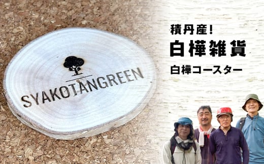 ≪数量限定≫積丹【オリジナル白樺コースター1個】北海道 森林保持