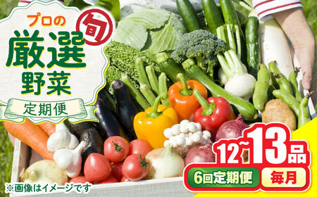 【6回定期便】野菜のプロが選ぶ 旬の野菜セット 12-13品目 野菜定期便 / 野菜 やさい セット 新鮮 / 南島原市 / 愛2農園[SGG003]