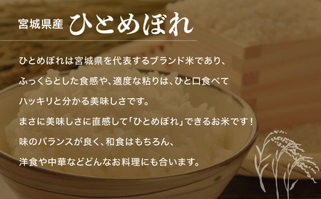 【7回定期便】R7 宮城県産 ひとめぼれ 無洗米 10kg×7回 [ 宮城県 加美町 菅原精米 ] 米 こめ コメ ご飯 sw-hb10-mu-t7-r7