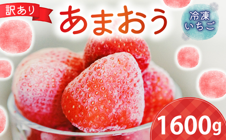 訳あり 冷凍いちご1600gSMS003