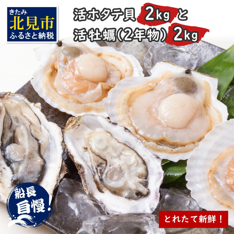 【ふるさと納税】【予約：2025年10月中旬から順次発送】北海道 ホタテ 牡蠣 セット 4kg