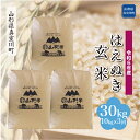 【ふるさと納税】 令和6年産 真室川町厳選 はえぬき ＜玄米＞ 30kg定期便（10kg×3回）