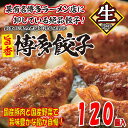 【ふるさと納税】【創業40年の老舗が誇る味わい】博多餃子120個 国産 豚肉 野菜 ギョーザ. AB285