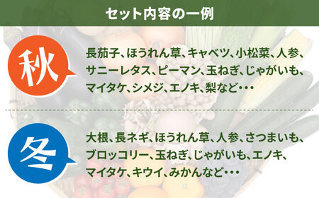 【6回定期便】【奇数月コース】豪華！野菜 セット 15品目以上 / 野菜[SCZ002]