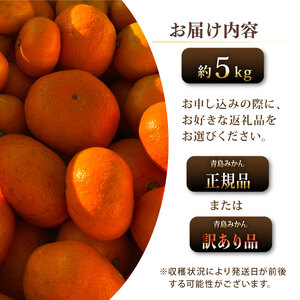 【期間限定発送】青島 みかん 5kg オレンジ みかん