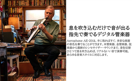 管楽器 電子 Aerophone AE-20 Roland 管楽器