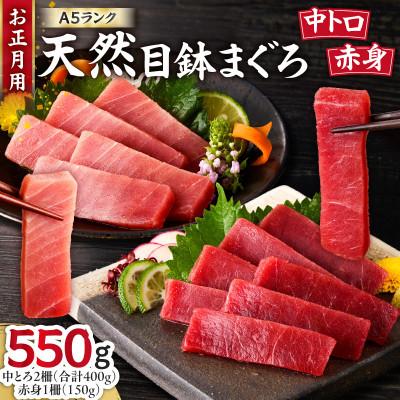 ふるさと納税 三浦市 【お正月用D】天然目鉢鮪 中とろ2柵・赤身1柵(年内発送)