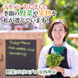 【毎月定期便】【中旬発送】こだわりの旬野菜BOX「リエビン」季節の野菜セット全6回【配送不可地域：離島・沖縄県】【4012343】