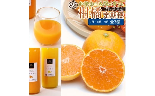 厳選 柑橘定期便M（7～9月）全3回 ［IKE297］