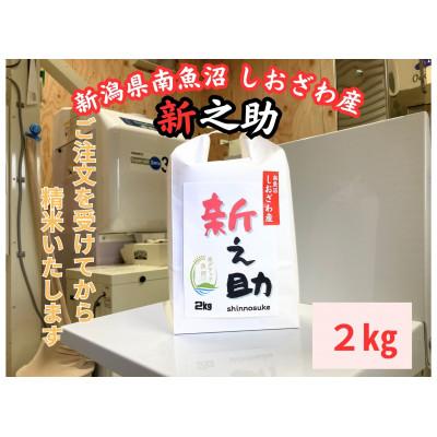 ふるさと納税 南魚沼市 新潟県南魚沼産　新之助　2kg　大粒でツヤがあるこれまでにないお米