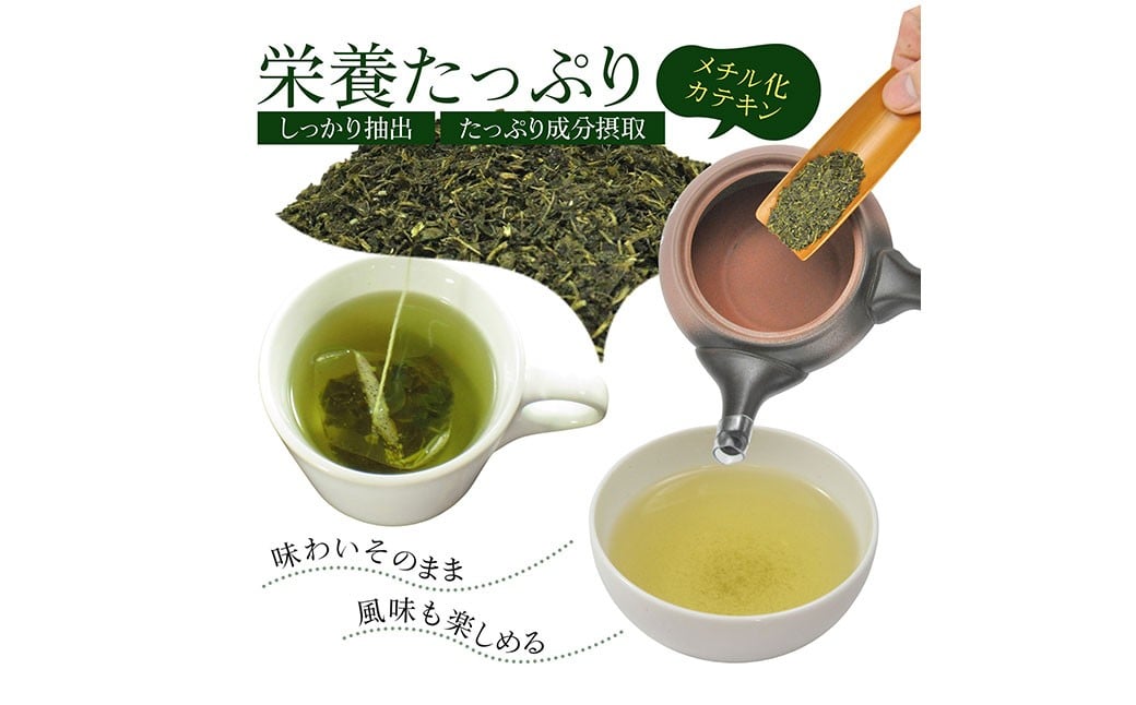 べにふうき茶 ティーバッグ 3g×60包 計180g｜ お茶 茶 緑茶 べにふうき 静岡 静岡茶