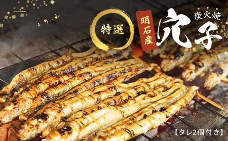 特選明石産炭焼き穴子（タレ2個付き） うなぎ 鰻 魚貝類 加工食品 