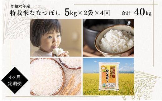 【定期便】【令和6年産】北海道産『特別栽培米ななつぼし 10kg×4ヶ月』 日経トレンディ米のヒット甲子園 大賞受賞 5kg×2袋 毎月1回・計4回お届け 計40kg 定期便 単一原料米 特栽米 米 お米 白米 精米 こめ おこめ ごはん ご飯 送料無料 北海道 奈井江町